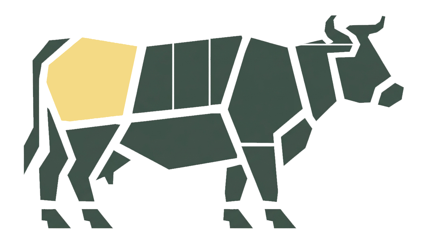 Round primal highlighted on a Black Angus beef carcass chart